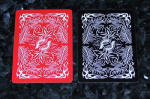 G-Baraja Full Tilt Phoenix-6.jpg