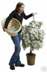 arbol_del_dinero.jpg