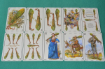 DSC_0046foro.jpg
