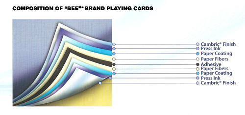 composicion.JPG