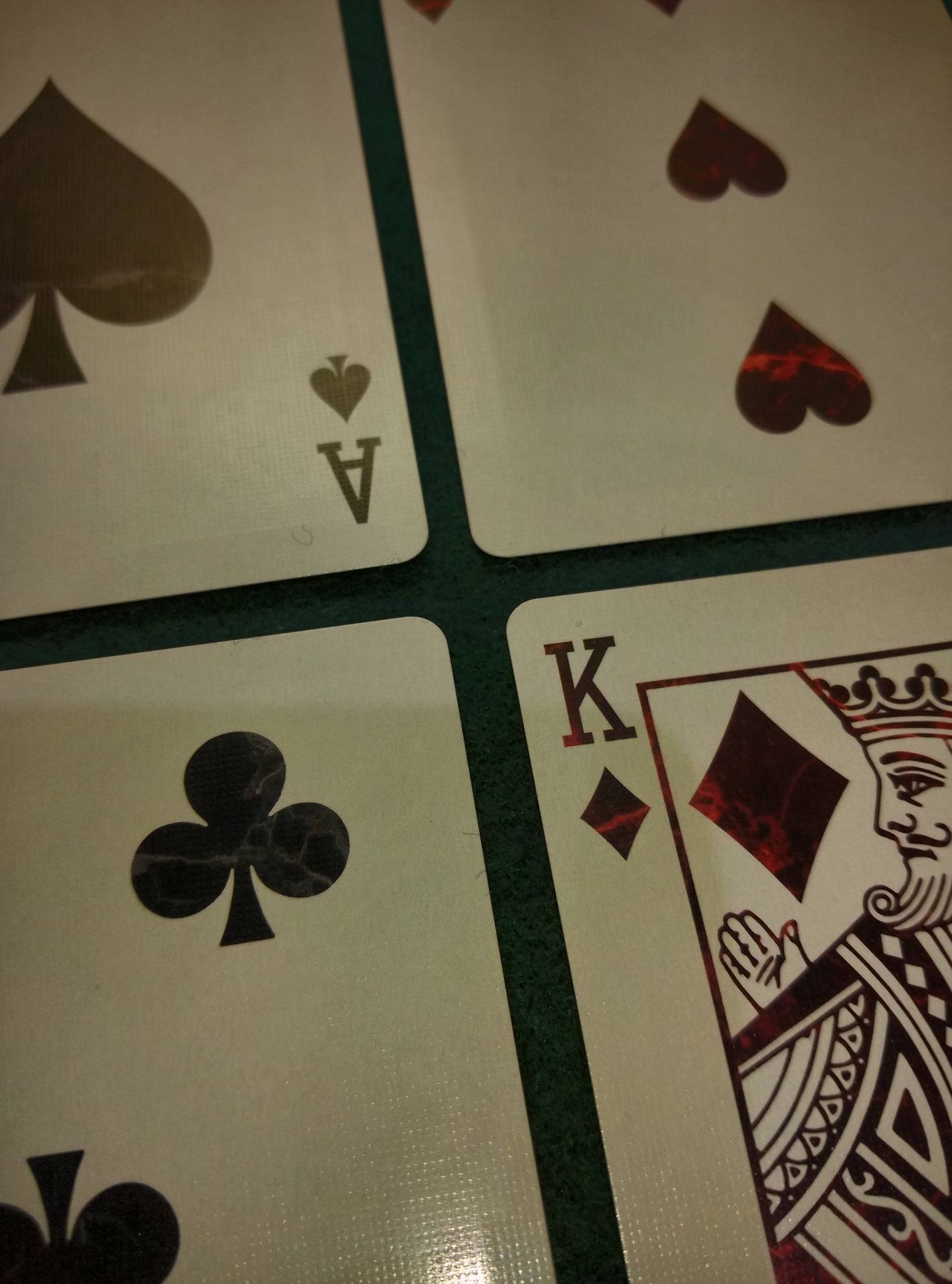 16145426_10208259926871450_1257326869_o.jpg