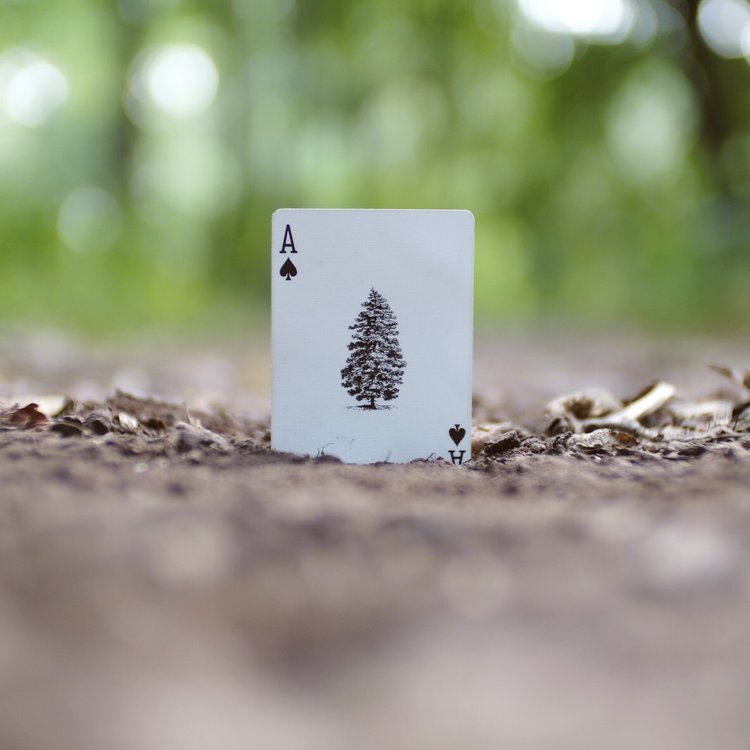 BlocPlayingCards.JPG