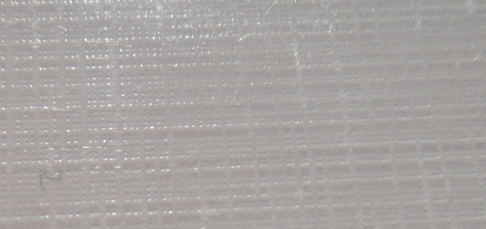 DSC00458.JPG