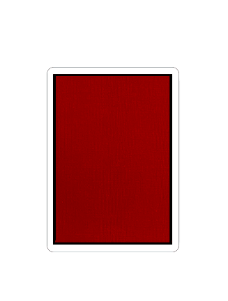 SHIN_BACK_1024x1024.png